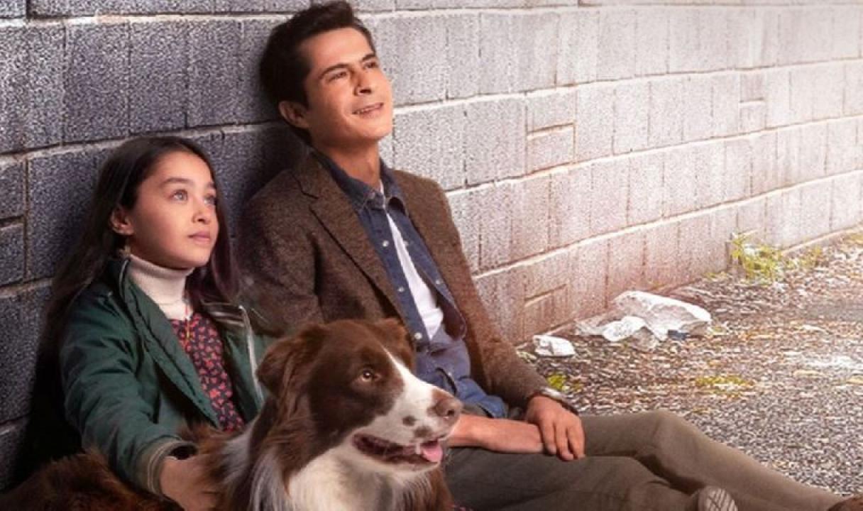 شاهد مسلسل اميرة بلا تاج