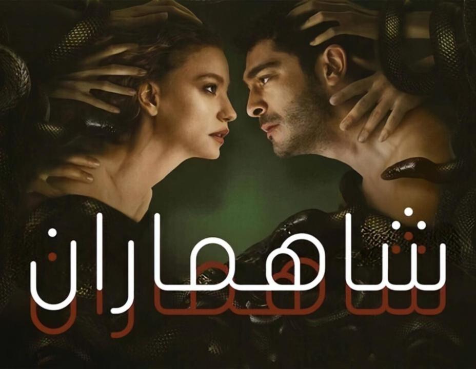 شاهد مسلسل فيولا الحلقة 10 مدبلجة